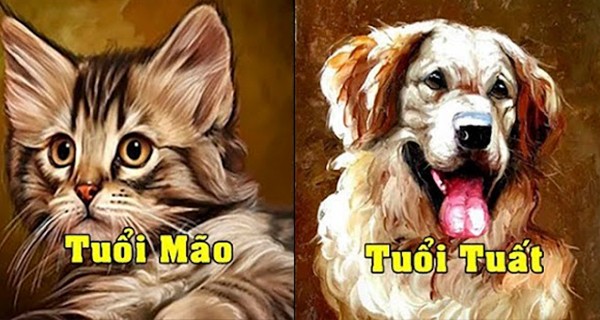 Tuổi Mão và tuổi Tuất. Người xưa thường nói ghét nhau như chó với mèo. Những người tuổi Mão có cách sống thận trọng, tinh tế, giỏi phân tích nhưng có cái tôi quá lớn. Trong khi người tuổi Tuất có giỏi giang, không bao giờ chịu hạ thấp mình.