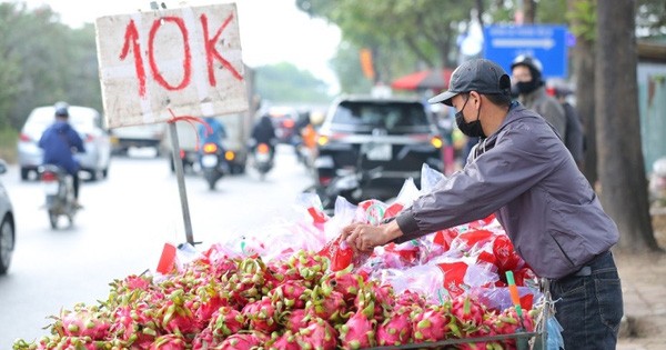 Thanh long Việt Nam xuất sang châu Âu giá 400.000 đồng 1 quả