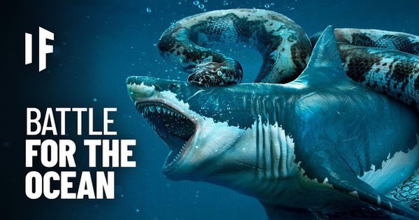 Điều gì xảy ra nếu cá mập Megalodon chiến đấu với trăn Titanoboa?