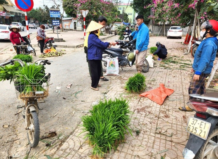  Chợ bán mạ non (lúa non) nằm ở khu vực chợ Cồn (xã Thanh Dương, huyện Thanh Chương, Nghệ An). Nói là chợ nhưng thực tế đây chỉ là khu vực một nhóm người mua bán mạ non tự tổ chức ngay cạnh vỉa hè quốc lộ 46.