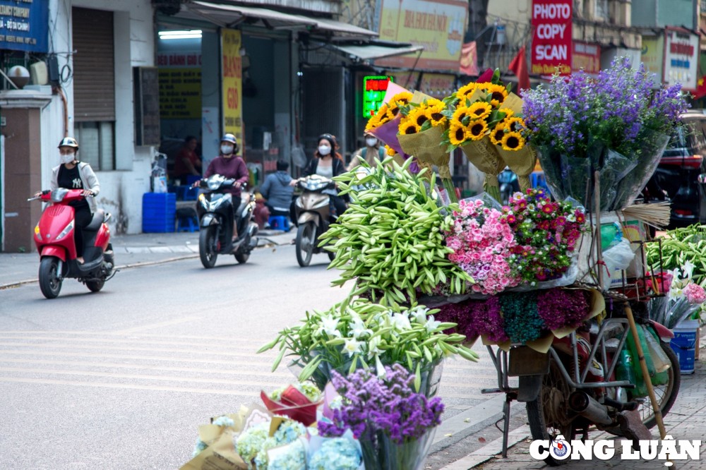 Những ngày này,  hoa loa kèn thường được bày bán trên nhiều con phố như: Phan Đình Phùng, Thụy Khuê, Thanh Niên, Giảng Võ... những bông hoa loa kèn trắng tinh khôi xuống phố, báo hiệu những ngày Hè sắp về.