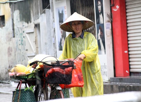 Đâu phải tại mưa ngâu