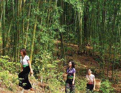 Thăm nơi "trâu sắt" bắt gái xinh, trai đẹp nô dịch