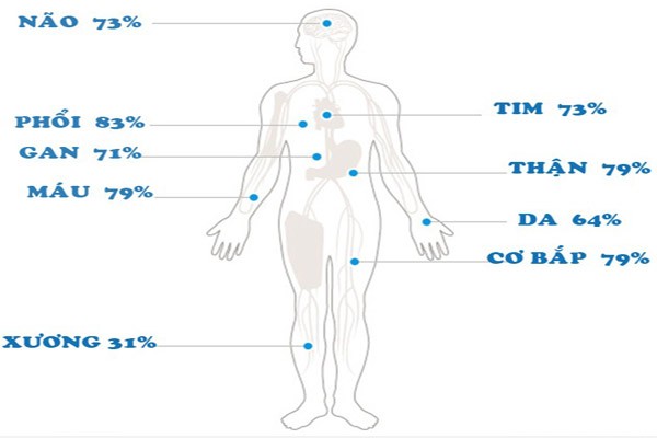 1. 75% não là nước và hơn 100 tỉ nơron thần kinh và 1 tỉ khớp thần kinh giúp kết nối các nơron thần kinh, đủ chỗ chứa gấp 5 lần bộ từ điển bách khoa Enclyclopedia Britannica hay khoảng 1.000 terrabyte thông tin, tất cả chúng đều “qua lại” với nhau. Lấy hai bàn tay khum tròn vào nhau, bộ não của chúng ta cũng có kích cỡ và hình dạng tương tự như vậy.