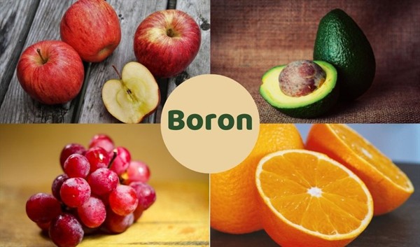 Boron – “bảo bối” của tuyến tiền liệt. Ung thư tuyến tiền liệt là bệnh hay gặp ở nam giới trên 50 tuổi, gây tử vong đứng thứ hai sau ung thư phổi. Nghiên cứu cho thấy,  nam giới ăn nhiều thực phẩm chứa boron giảm tới 65% nguy cơ mắc bệnh so với những người ít tiêu thụ chất này. (Ảnh minh họa)