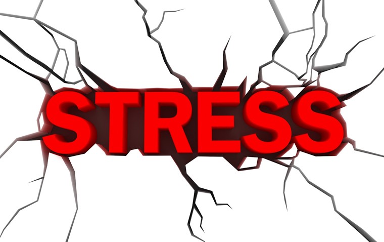 Stress là phản ứng của cơ thể khi gặp phải các vấn đề gây căng thẳng về thể chất và tinh thần. Khi cơ thể cảm thấy áp lực, nó tiết ra một loại chất gọi là “catecholamine”, tác động đến hệ thần kinh trung ương, làm giảm khả năng thải độc tố trong cơ thể, giảm lượng oxy trong máu, tác động đến thần kinh giao cảm, gây áp lực cho huyết quản não, suy giảm hệ miễn dịch…