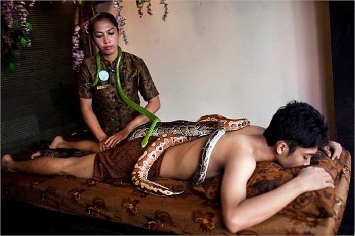 Phương pháp mà Trung tâm Bali Heritage Reflexology and Spa sử dụng là cùng lúc đặt nhiều con trăn lên cơ thể khách hàng. Tất nhiên chúng phải là những con trăn không có nọc độc.