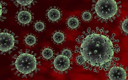 Virus cúm A/H7N9 là một chủng mới, có nguồn gốc gen từ virus cúm gia cầm và một số loài chim, có khả năng lây nhiễm cho người dẫn đến viêm phổi nặng tiến triển nhanh, tỷ lệ tử vong cao. Hiện đường lây truyền của virus cúm A/H7N9 chưa được hiểu rõ và cũng chưa có kết luận nào về sự lây truyền dịch cúm từ người sang người.