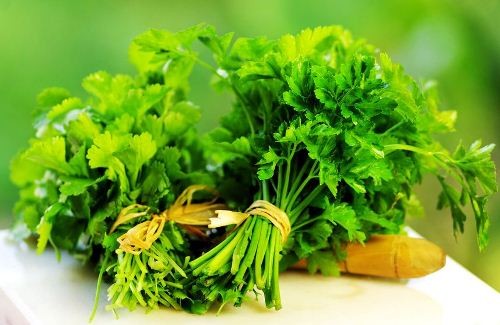 Rau mùi tây chứa nhiều loại vitamin và muối khoáng là carotene, thiamin, riboflavin, niacin, vitamin C, can xi, phốt pho, sắt. Bạn có thể giã dập lá rau mùi đắp lên mụn nhọt, mụn trứng cá để giảm sưng, giảm viêm và không để lại sẹo. Rau mùi tính mát, có một lượng chất chống nhiễm khuẩn nhất định nên khi tác dụng lên da nó sẽ nhanh chóng làm sạch da, loại bỏ vi khuẩn và các tế bào chết.