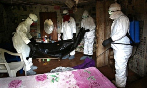 Ebola: Tìm thấy 17 bệnh nhân bỏ trốn, nỗ lực tìm thuốc