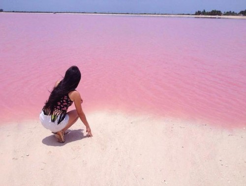 Đó chính là câu chuyện lạ kỳ về hồ nước nhỏ ở một ngôi làng đánh cá có tên là Las Coloradas, nằm ở phía bờ đông của Bán đảo Yucatán (Mexico).