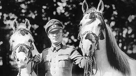 Chiến dịch giải cứu đàn ngựa quý của trùm phát xít Hitler 