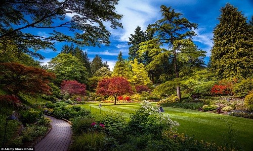 Nhắc đến khu vườn đẹp như trong truyện cổ tích không thể không kể đến vườn Butchart Gardens ở tỉnh British Columbia, Canada.