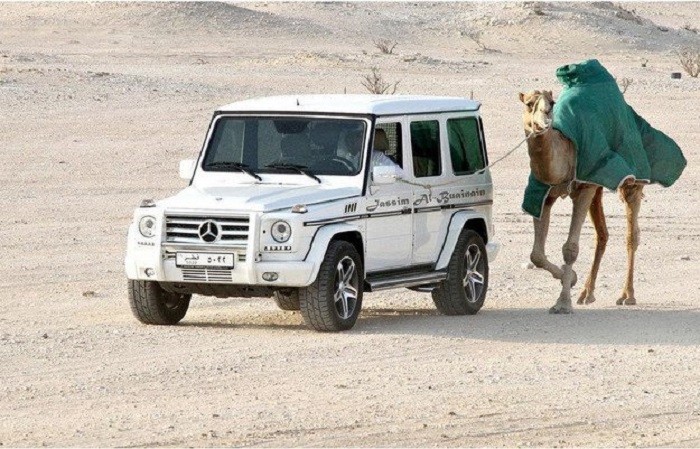 Vừa lái xe Mercedes vừa dắt lạc đà một trong những  cảnh tượng hiếm thấy chỉ có ở Dubai.