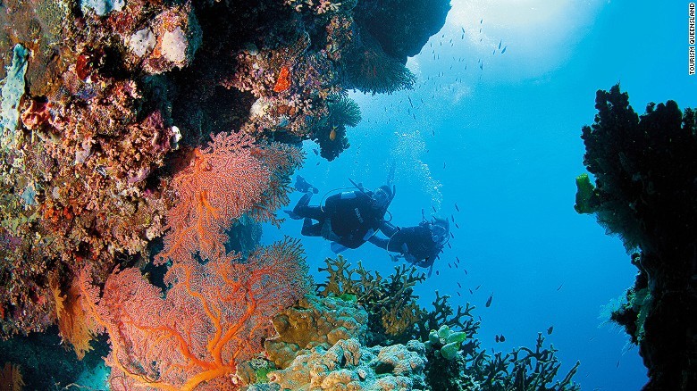 Rạn san hô Great Barrier ở Australia là một trong những  thiên đường du lịch hàng đầu thế giới trong giai đoạn 2016-2017. Rạn san hô này đã được UNESCO công nhận là Di sản thế giới và là một trong 7 kỳ quan thiên nhiên của thế giới.