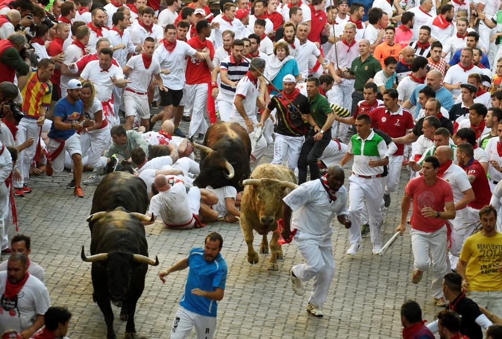 Trong  lễ hội bò tót San Fermin ở Tây Ban Nha, các chú bò đực hung hãn sẽ được thả chạy tự do trên đường để tới trường đấu bò. Những người tham gia trên đường sẽ phải chạy “chối chết" để tránh bị bò húc phải.