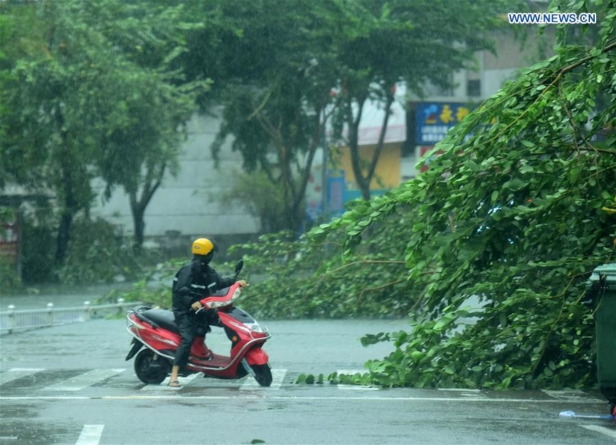 Siêu bão Sarika với sức gió giật mạnh lên tới 162 km/h đã đổ bộ vào thị trấn Hele, thành phố Vạn Ninh, tỉnh Hải Nam, vào lúc 9h50 sáng ngày 18/10. Ảnh: News.cn.