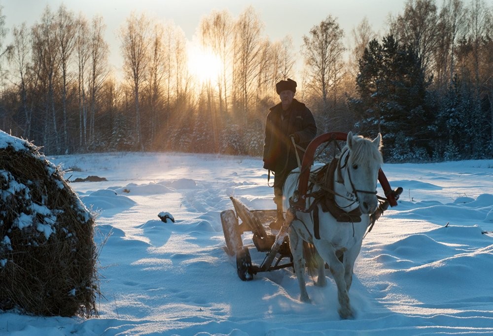  Mùa đông đã được cảm nhận rõ rệt tại ngôi làng Berezovka ở khu vực Tomsk, Siberia, thuộc Liên bang Nga, từ ngày 2/11. Ảnh: Người đàn ông đi xe ngựa để di chuyển qua con đường ngập tuyết trong làng Berezovka.