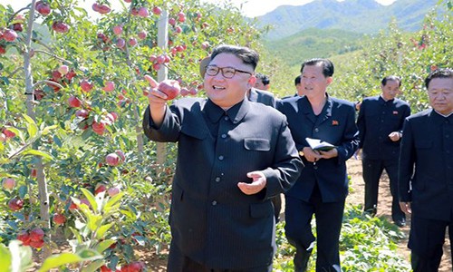 Hãng thông tấn nhà nước Triều Tiên KCNA ngày 21/9 vừa đăng tải nhiều hình ảnh về chuyến thăm mới đây của nhà lãnh đạo  Kim Jong-un tới một vườn trái cây ở huyện Kwail, tỉnh Nam Hwanghae.