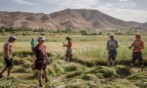 Hình ảnh khác lạ không thể ngờ về đất nước Afghanistan