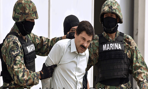  Trùm ma túy Mexico Joaquin "El Chapo" Guzman lớn lên trong một vùng quê nghèo và bắt đầu bán cần sa trong trường tiểu học. Năm 15 tuổi, Guzman đã trở thành “trụ cột” của gia đình. Ảnh: ATI.