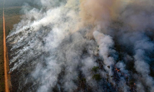 Theo hãng thông tấn Reuters, các chiến đấu cơ Brazil đã đổ nước để dập lửa tại vạt rừng Amazon đang cháy dữ dội ở bang Rondonia. Ảnh: Reuters.