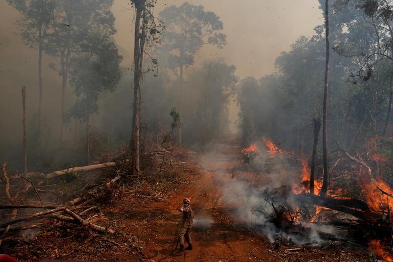 Theo hãng thông tấn Reuters, số vụ  cháy rừng Amazon tại Brazil đã tăng khoảng 83% từ đầu năm 2019 đến nay so với cùng kỳ năm 2018. Tình trạng cháy rừng dữ dội và nạn phá rừng đã cướp đi nhiều mái nhà của bộ lạc thổ dân Amazon. (Nguồn ảnh: Reuters)