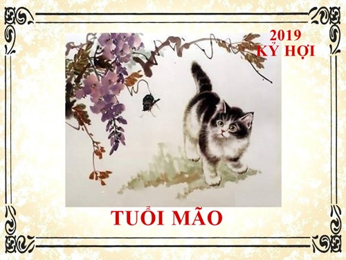 Tuổi Mão: Nếu như trong năm Kỷ Hợi 2019, người tuổi Mão gặp phải nhiều sóng gió, khổ sợ để tìm kiếm thời cơ bứt phá của thản thân ở thời điểm giữa năm.   