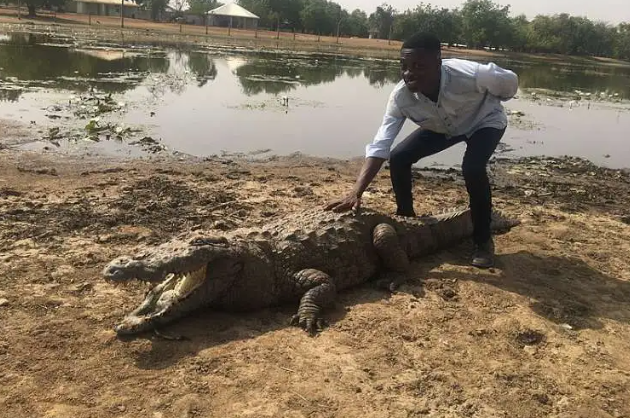 Theo UBF, tại  ngôi làng Bazoule, cách thủ đô Ouagadougou của Burkina Faso 30 km, người dân sống cùng hơn 100 con cá sấu. (Nguồn ảnh: UBF, X, Amuzing Planet)