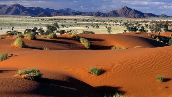  Sa mạc Namib là sa mạc lớn nhất của nước Namibia và miền Tây Nam Angola, thuộc vườn quốc gia Namib - Naukluft lớn nhất châu Phi. Tên "Namib" trong tiếng Nama có nghĩa là "to lớn".