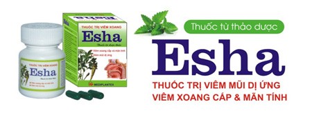 Thảo dược trị viêm mũi dị ứng, viêm xoang