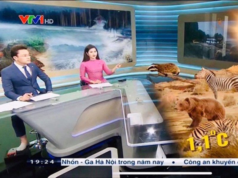 Tối ngày 16/12, trong chương trình Thời sự 19h của VTV,  BTV Hữu Bằng để lộ hình ảnh đi chân trần. Khoảnh khắc nhanh chóng thu hút sự quan tâm của khán giả.