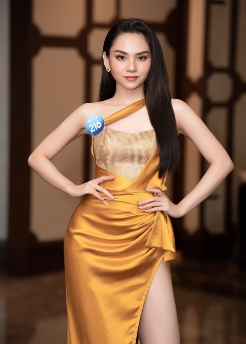 Ngay từ những ngày đầu tham gia Miss World Vietnam 2022 - Hoa hậu Thế giới Việt Nam 2022,  Huỳnh Nguyễn Mai Phương đã gây chú ý. Cô từng đoạt một số thành tích nhan sắc như Hoa khôi Đại học Đồng Nai 2018, lọt top 5 Hoa hậu Việt Nam 2020.