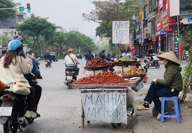 Thời gian này, trên các tuyến phố của Hà Nội như Xã Đàn, Hàng Khoai, Đồng Xuân, Phạm Ngọc Thạch, Tôn Thất Tùng… có thể dễ dàng bắt gặp xe chở các loại  hoa quả đặc sản Sơn La như mận hậu, nhót xanh, dâu tây Hana.