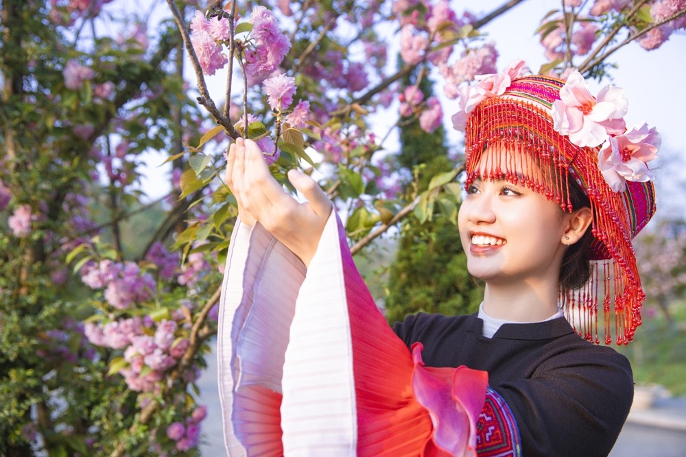 Tháng 4 đang gõ cửa bằng khúc khúc giao mùa rộn rã của thiên nhiên Sa Pa, với ngàn hoa bung nở. Đến với Sa Pa dịp này, ngoài được tận hưởng tiết trời đủ bốn mùa một ngày với không khí trong lành, thoáng đãng, du khách còn được đắm mình trong “mê cung” của những loài hoa hai mùa xuân, hạ đang gieo sắc khắp chốn. Tập trung đông du khách “săn hoa” nhất phải kể đến khu vực dưới chân  núi Fansipan và khắp các vạt rừng Hoàng Liên lên tới đỉnh Đông Dương, khi tại đây quy tụ nhiều loại hoa “gây thương nhớ”. Vào khoảng cuối tháng 3, tháng 4 là thời điểm hoa anh đào trải thảm hồng rực rỡ.