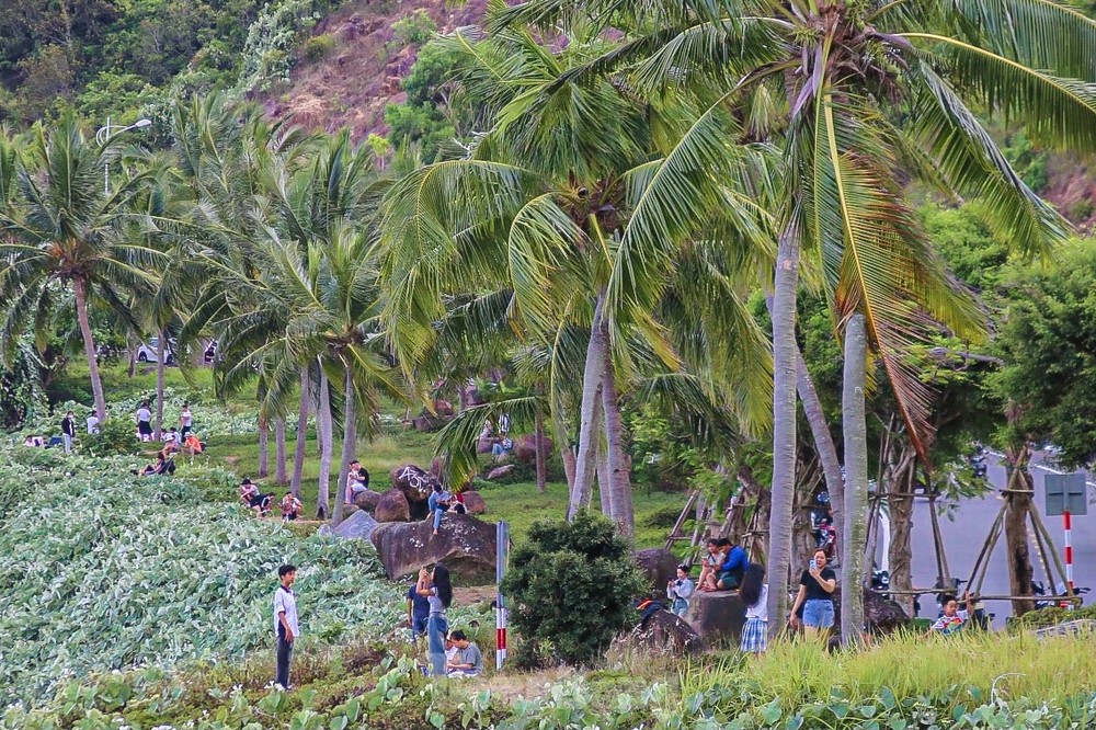  Bán đảo Sơn Trà (phường Thọ Quang, quận Sơn Trà) nằm cách trung tâm thành phố Đà Nẵng khoảng 10km về phía Đông Bắc, với cảnh quan thiên nhiên tươi đẹp, núi non hùng vĩ, có khu rừng bạt ngàn cùng hệ động thực vật phong phú…, được mệnh danh là viên ngọc quý của thành phố Đà Nẵng.