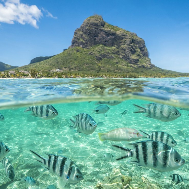    Mauritius: Quốc đảo núi lửa sôi động ở Ấn Độ Dương này nổi tiếng với thác nước, núi, bãi biển cùng đầm phá và chuyến bay trực thăng qua thác nước là điều không thể bỏ qua. Nơi đây nằm cách Madagascar khoảng 885km về phía đông. 