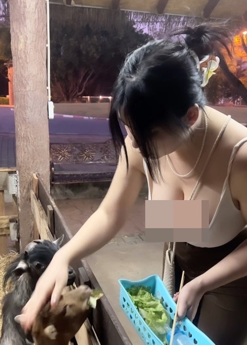 Mới đây,  hot girl Jeon Ji Eun gây xôn xao vì mặc táo bạo khi cho dê ăn.