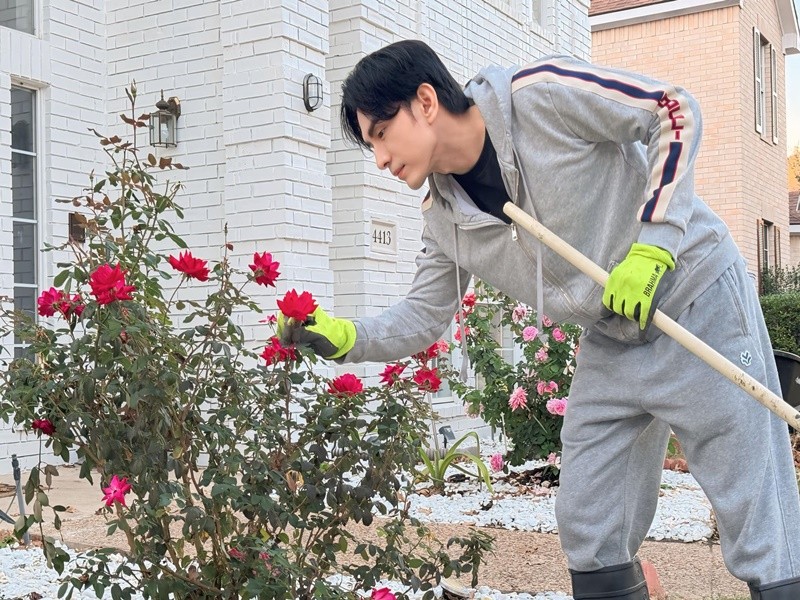 Mới đây, trên trang cá nhân, ca sĩ Đan Trường khoe loạt ảnh chăm chút vườn hồng trong biệt thự ở Mỹ. Ảnh FB Đan Trường.