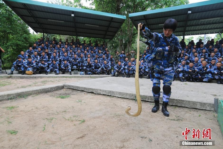 Theo Chinamil.com, cuộc tập trận chung giữa Thủy quân lục chiến Thái Lan và Trung Quốc mang tên “Blue Strike 2016” đã bắt đầu khởi động từ ngày 19/5 và kéo dài tới ngày 10/6. Trong ảnh là một nữ binh sĩ Trung Quốc đang tập kỹ năng bắt rắn độc hổ mang (Nguồn: Chinanews.com).