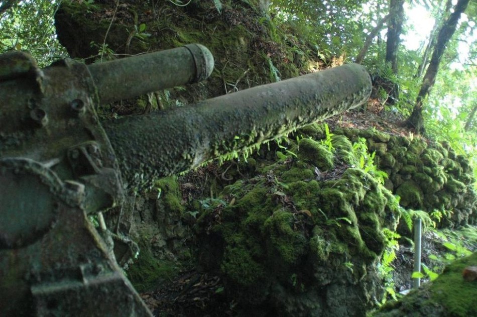 Cuộc chiến trên đảo Peleliu còn có mật danh là Chiến dịch Stalemate II, với những cuộc giao tranh khốc liệt nhất diễn ra trên núi Umurbrogol – còn gọi là “Mũi đất chết chóc” kéo dài từ tháng 9-12/1944 giữa Thủy quân lục chiến Mỹ và phát xít Nhật Bản. Hiện trên đảo Peleliu vẫn còn rất nhiều tàn tích của cuộc chiến này. Ảnh nòng pháo của phát xít Nhật còn sót lại trong rừng rậm, bị rêu phong bao phủ (Nguồn: Sina).