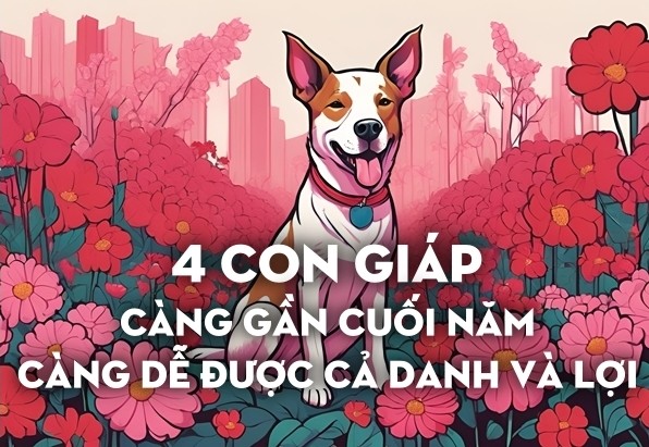 Theo chuyên gia tử vi, có 4 con giáp sẽ đón nhận những niềm vui và cơ hội bất ngờ trước cuối năm. Dù là công việc, tình cảm hay tài lộc, họ đều có thể gặp được quý nhân giúp đỡ, thăng tiến trong sự nghiệp hoặc gia tăng tài sản.