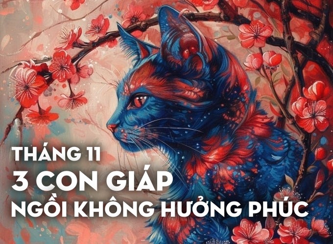 Bước sang tháng 11, các vì tinh tú như dệt nên những bức tranh rực rỡ, trải đường cho 3  con giáp Dần, Tý, Mão bước lên con đường rực sáng của may mắn và thành công. Họ đón nhận làn sóng may mắn liên tiếp, vừa có được sự công nhận về danh vọng, vừa phát lên trông thấy về tài vận, niềm vui tràn ngập cuộc sống.