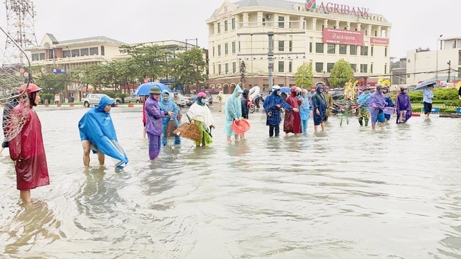 Ngày 19/10, khi nước lũ dâng cao, toàn TP Hà Tĩnh chìm trong biển nước thì tại vòng xuyến BMC đoạn ngã tư giao nhau giữa trục đường Hà Huy Tập và Hàm Nghi có hàng chục người dân ra đây để bắt cá.