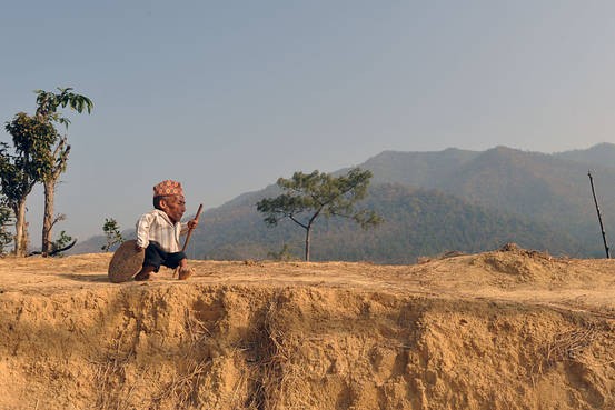 Ông Chandra Bahadur Dangi sinh ngày 30 tháng 11 năm 1939 tại Kathmandu, thủ đô của Nepal. Năm 2012, ông chính thức được Tổ chức Guinness công nhận là  người lùn nhất thế giới với chiều cao chỉ 0,57m (khoảng 21,5 inch), thế chỗ cho Gul Mohammed (Ấn Độ) người có cùng chiều cao nhưng đã qua đời từ năm 1997.