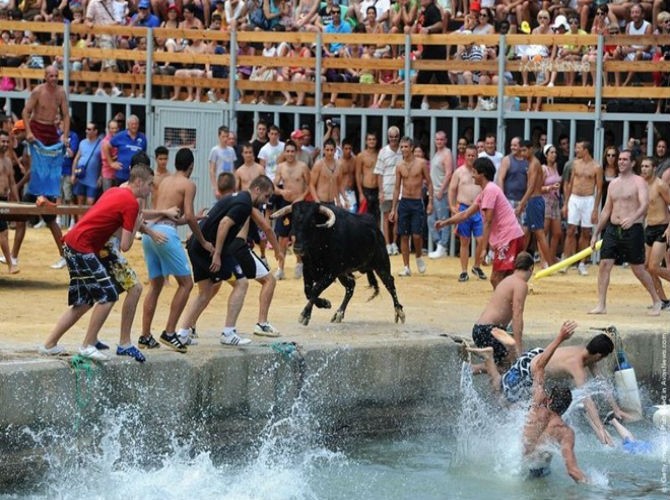 "Chạy đua với bò tót"  là trò chơi nổi tiếng nhất diễn ra trong Lễ hội San Ferrmin ở thành phố Pamplona, Tây Ban Nha.