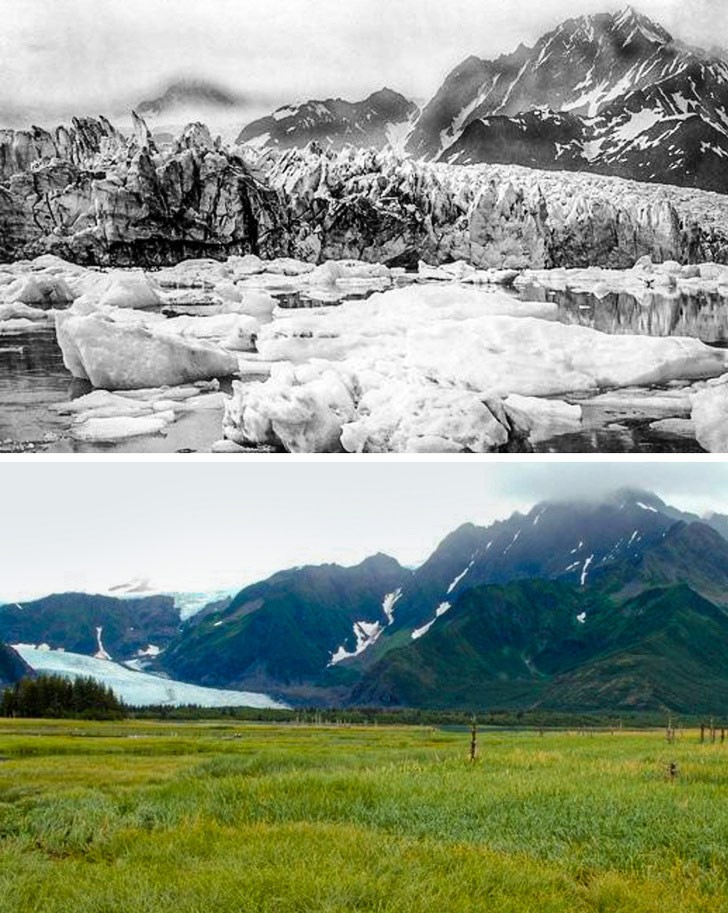 Sông băng Pedersen, Alaska, 100 năm trước và bây giờ sau những tác động của  biến đổi khí hậu. (Nguồn ảnh: BrightSide)