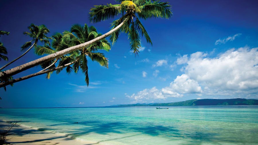 Mạng lưới Khu bảo tồn biển Raja Ampat nằm ở trung tâm của Tam giác San hô, Indonesia.