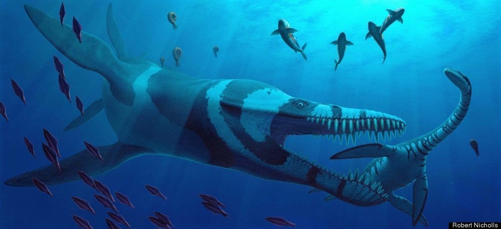 Khủng long Pliosaurus với thân hình dài tới 9m đang truy đuổi một con xà đầu long nhỏ.