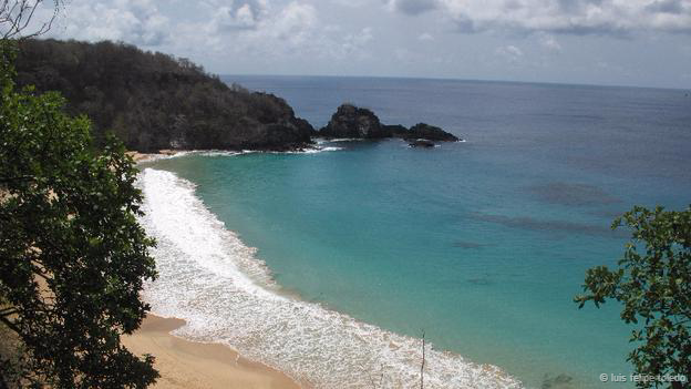 Hòn đảo Fernando de Noronha, ngoài khơi bờ biển của Brazil là  hòn đảo kỳ lạ vì đầy ắp những con cóc bò (cóc cururu, tên khoa học là Rhinella schneideri) bị biến dạng.